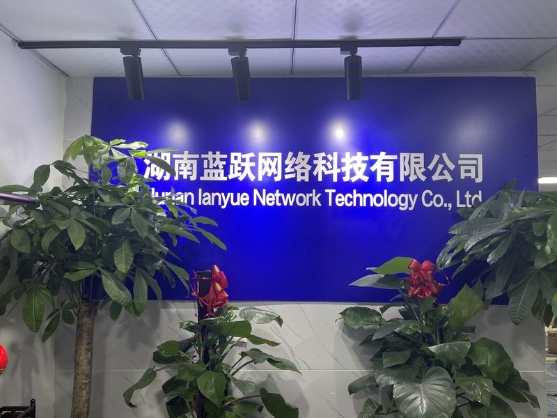China Hunan Lanyue Network Technology Co., Ltd. company profile